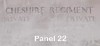 Panel 22 Cheshire Regt